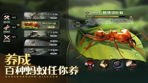 小小蚁国中文版下载