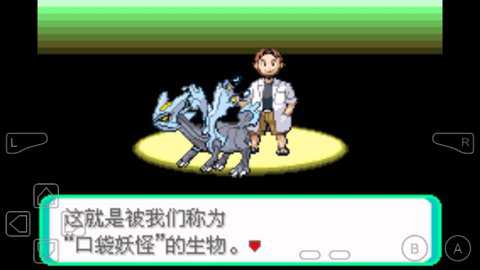 口袋妖怪龙之圣域
