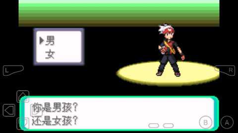 口袋妖怪龙之圣域