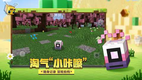 我的世界联机版