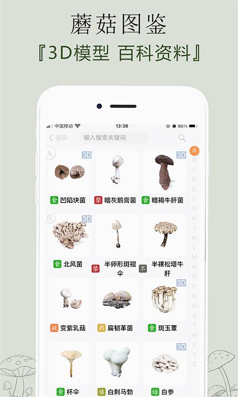 菌窝子(识别蘑菇)