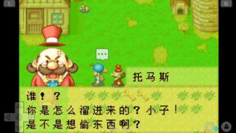 牧场物语矿石镇的伙伴们下载