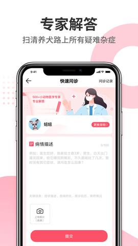 68宠物