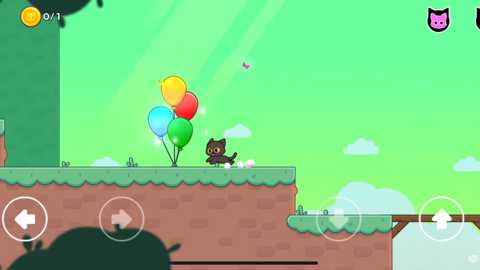 抓鸟的猫