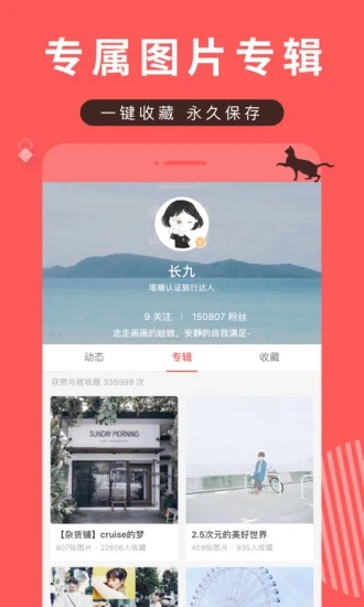 堆糖最新版本