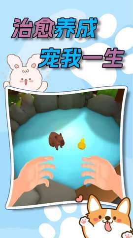 水下家园下载