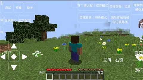 我的世界恐怖岛100天mod