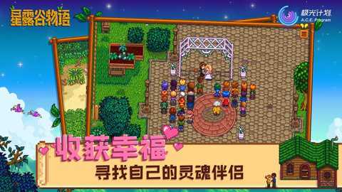 星露谷物语1.6版本下载