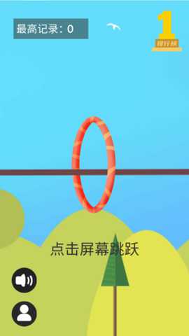 穿圈引线