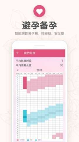 掌中投