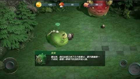 小鸡别跑