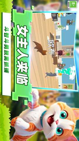 开心猫咪