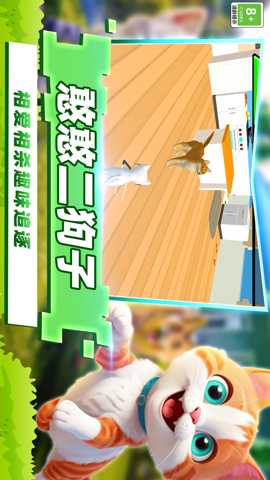 开心猫咪
