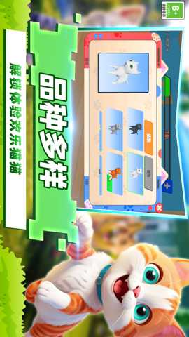 开心猫咪