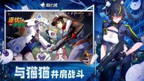 猫之城B服