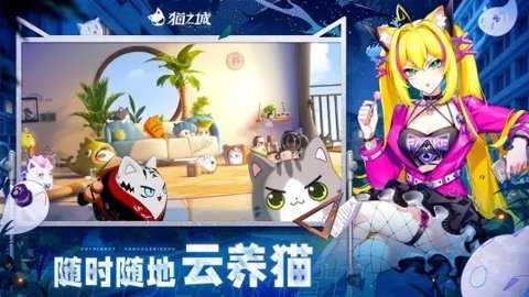 猫之城B服