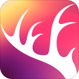 charmdeer旅游app