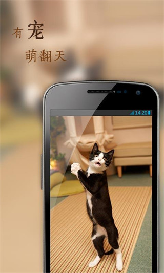 花瓣网免费素材库app