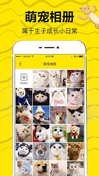 猫狗翻译软件