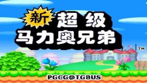 新超级马里奥兄弟nds改版下载