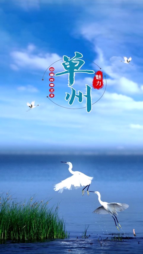 魅力单州app