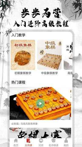 中国象棋大师