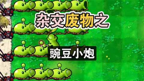 废物大战僵尸