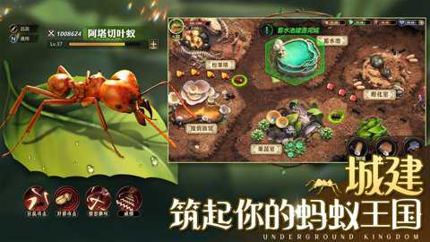 小小蚁国华为版下载