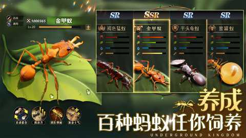 小小蚁国华为版下载