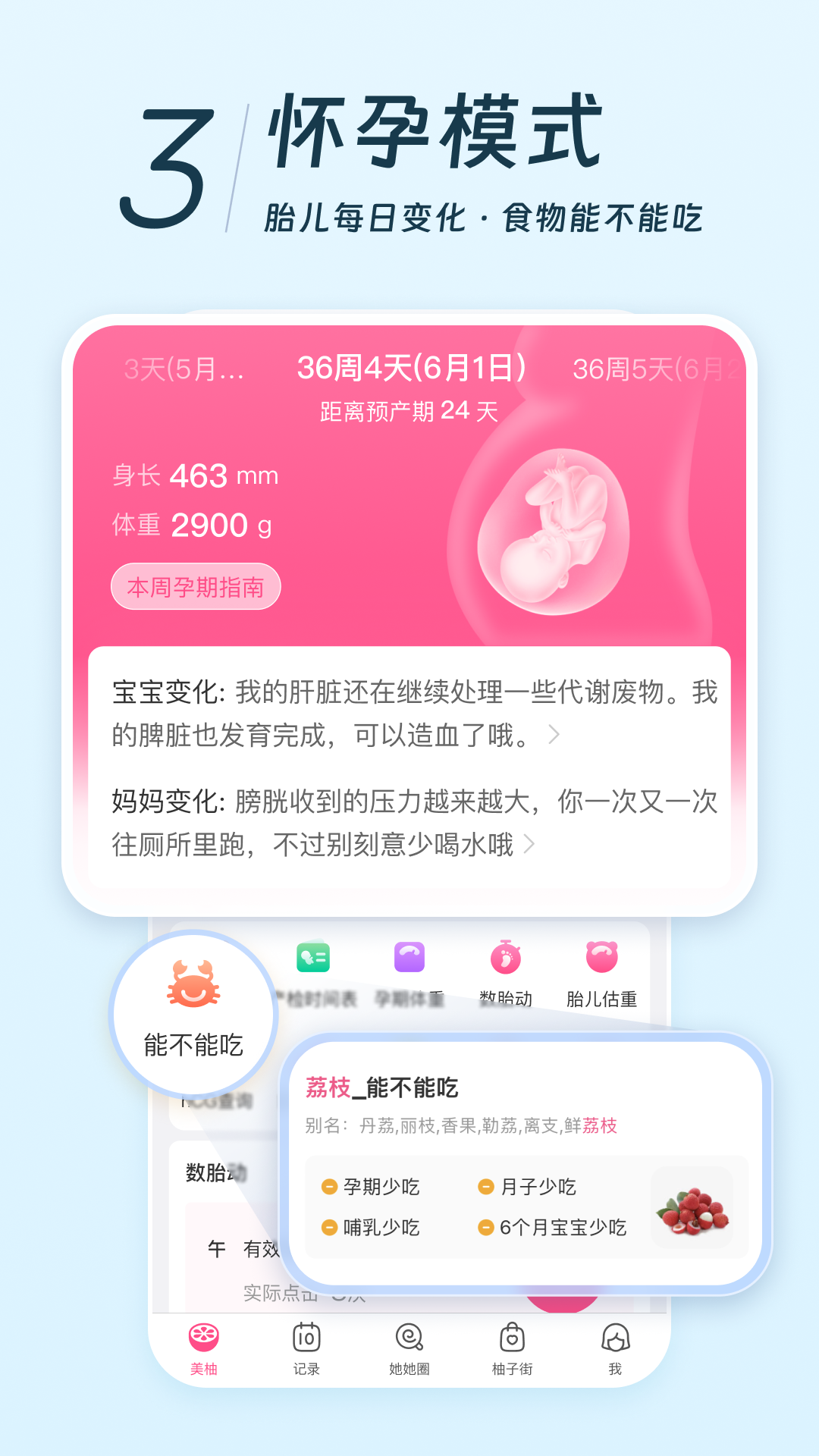 美柚孕期记录