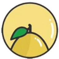 小柚子追剧最新版本2026