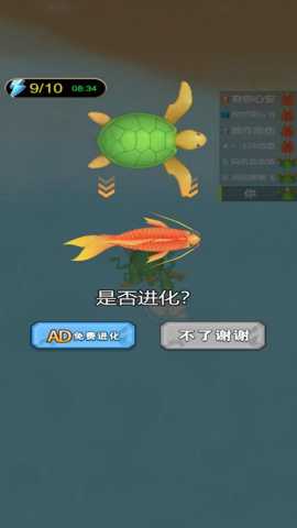 蝌蚪进化论
