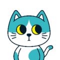 东呈青猫会app